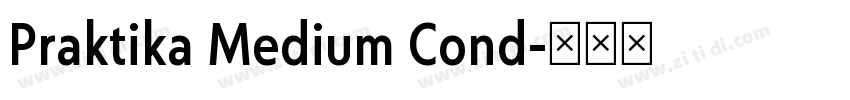 Praktika Medium Cond字体转换